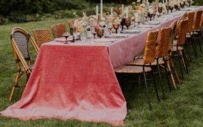 Dining & Event Chairs: Designing Seating That Supports Comfort and Cohesion